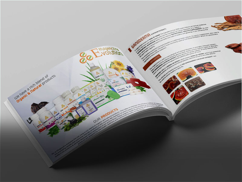 Catalogue Design